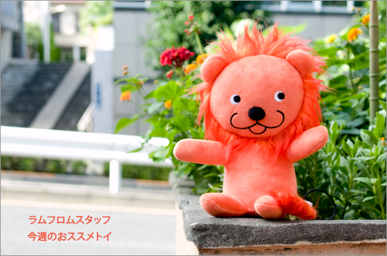 toy_20131009_laci10.jpg